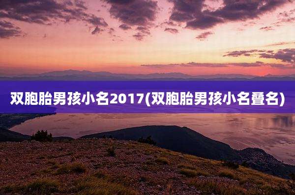 双胞胎男孩小名2017(双胞胎男孩小名叠名)