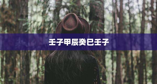 壬子甲辰癸巳壬子