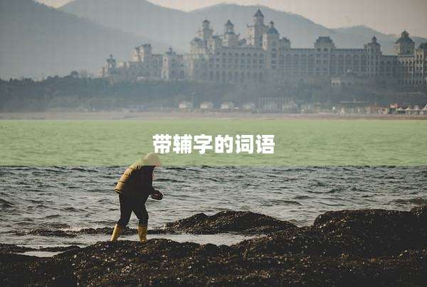 带辅字的词语