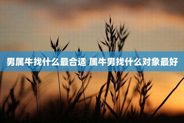 男属牛找什么最合适 属牛男找什么对象最好