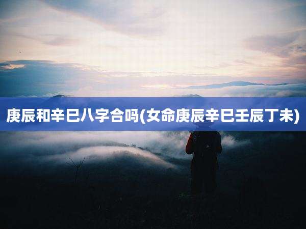 庚辰和辛巳八字合吗(女命庚辰辛巳壬辰丁未)