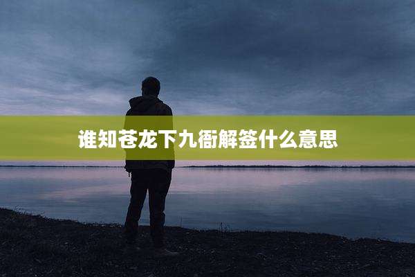 谁知苍龙下九衙解签什么意思