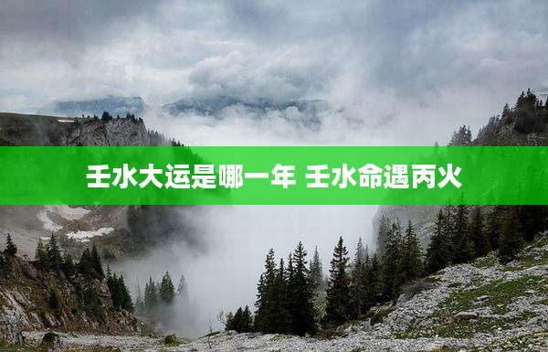 壬水大运是哪一年 壬水命遇丙火
