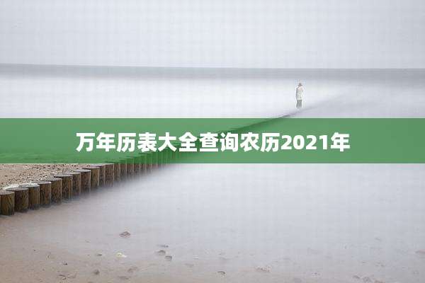 万年历表大全查询农历2021年