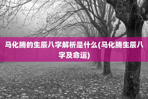 马化腾的生辰八字解析是什么(马化腾生辰八字及命运)