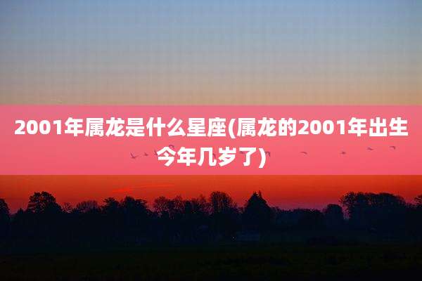 2001年属龙是什么星座(属龙的2001年出生今年几岁了)