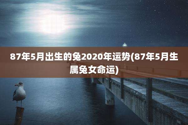 87年5月出生的兔2020年运势(87年5月生属兔女命运)