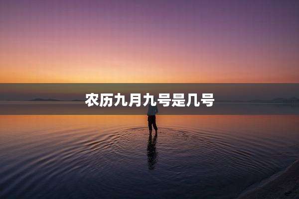 农历九月九号是几号