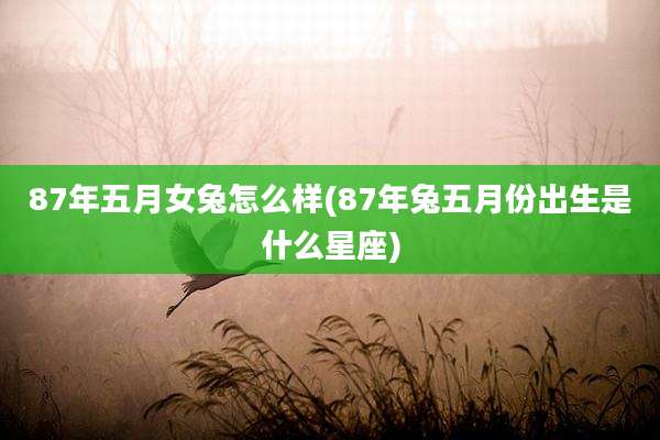 87年五月女兔怎么样(87年兔五月份出生是什么星座)