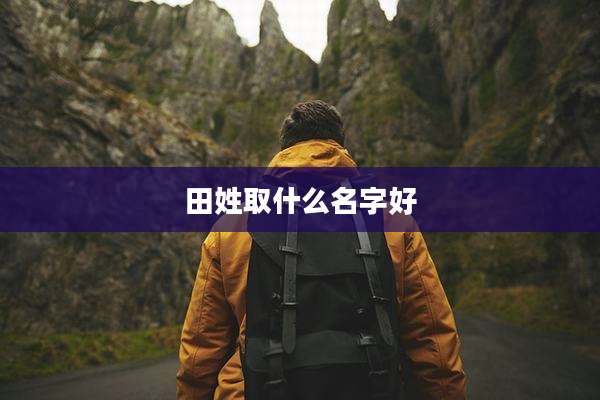 田姓取什么名字好