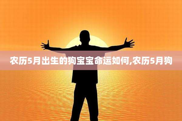 农历5月出生的狗宝宝命运如何,农历5月狗