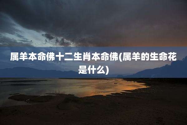 属羊本命佛十二生肖本命佛(属羊的生命花是什么)