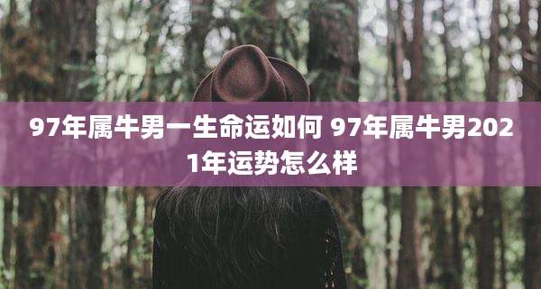 97年属牛男一生命运如何 97年属牛男2021年运势怎么样