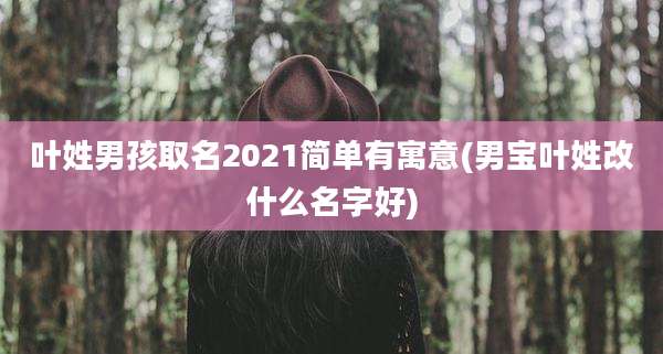叶姓男孩取名2021简单有寓意(男宝叶姓改什么名字好)