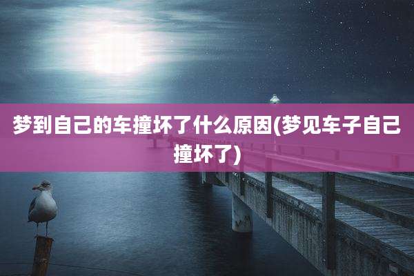 梦到自己的车撞坏了什么原因(梦见车子自己撞坏了)