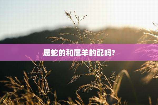 属蛇的和属羊的配吗?