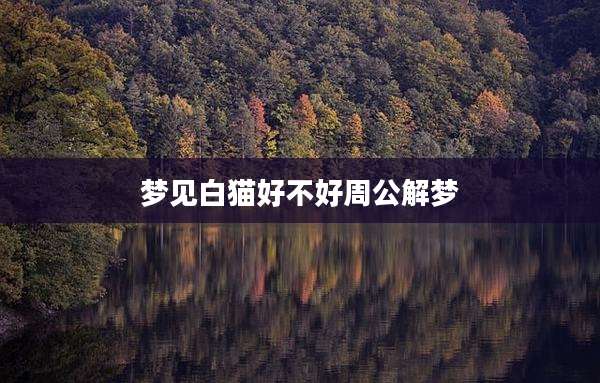 梦见白猫好不好周公解梦