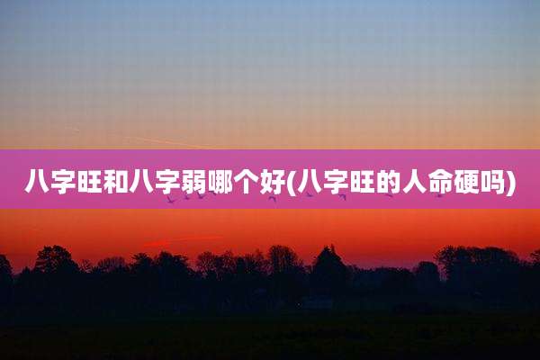 八字旺和八字弱哪个好(八字旺的人命硬吗)