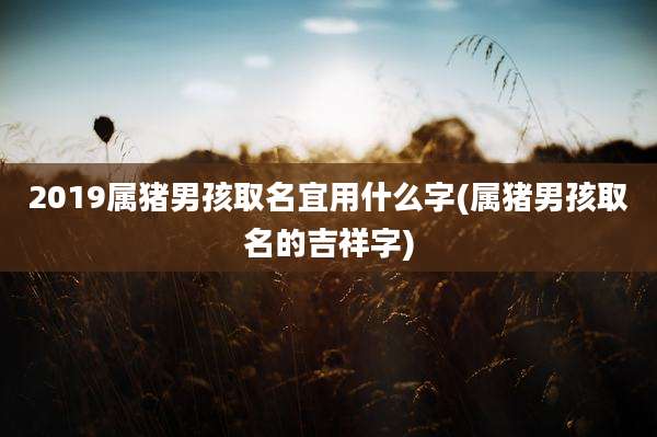 2019属猪男孩取名宜用什么字(属猪男孩取名的吉祥字)