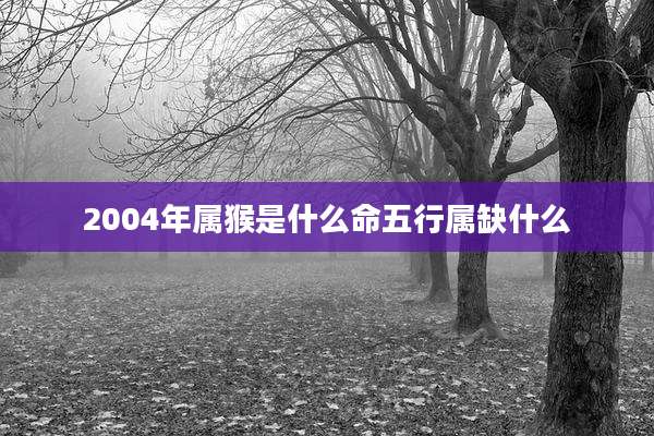 2004年属猴是什么命五行属缺什么