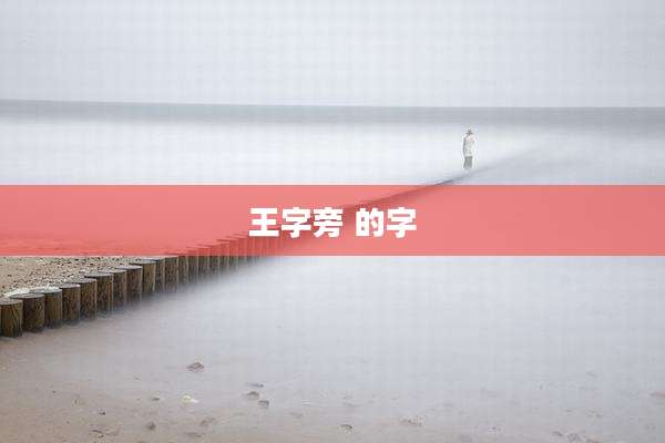 王字旁 的字