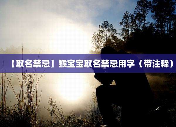 【取名禁忌】猴宝宝取名禁忌用字（带注释）