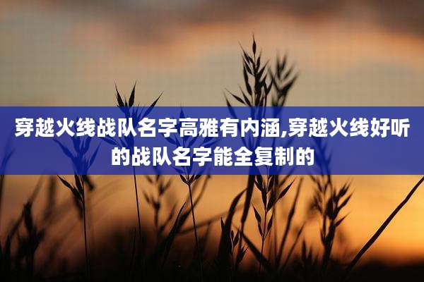 穿越火线战队名字高雅有内涵,穿越火线好听的战队名字能全复制的