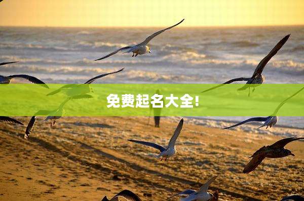 免费起名大全!