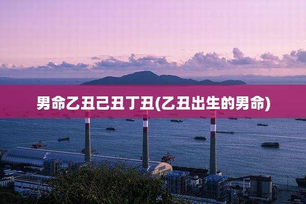 男命乙丑己丑丁丑(乙丑出生的男命)