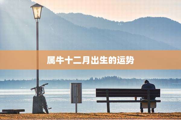 属牛十二月出生的运势