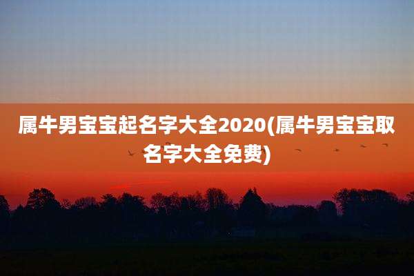 属牛男宝宝起名字大全2020(属牛男宝宝取名字大全免费)