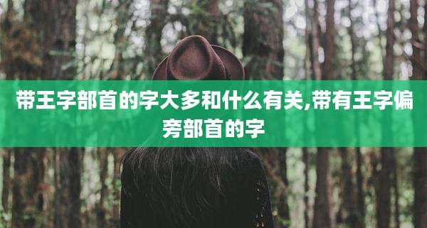 带王字部首的字大多和什么有关,带有王字偏旁部首的字