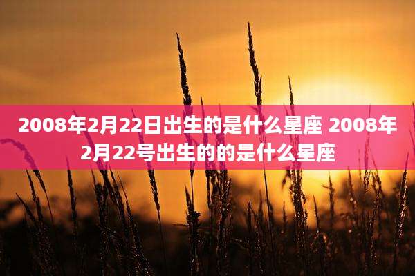 2008年2月22日出生的是什么星座 2008年2月22号出生的的是什么星座