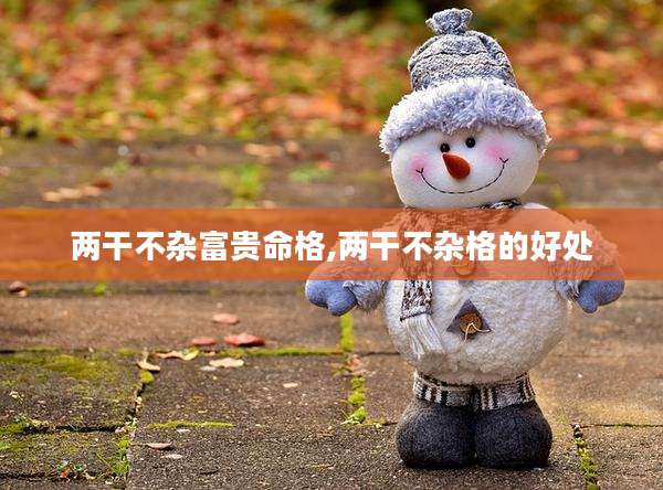 两干不杂富贵命格,两干不杂格的好处