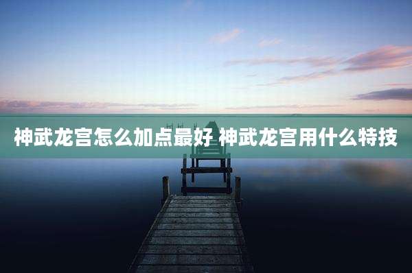 神武龙宫怎么加点最好 神武龙宫用什么特技