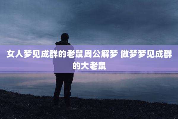 女人梦见成群的老鼠周公解梦 做梦梦见成群的大老鼠
