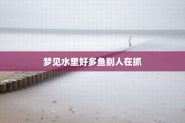 梦见水里好多鱼别人在抓