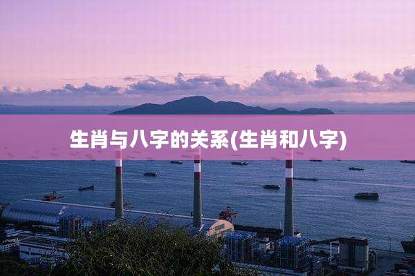 生肖与八字的关系(生肖和八字)