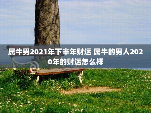 属牛男2021年下半年财运 属牛的男人2020年的财运怎么样