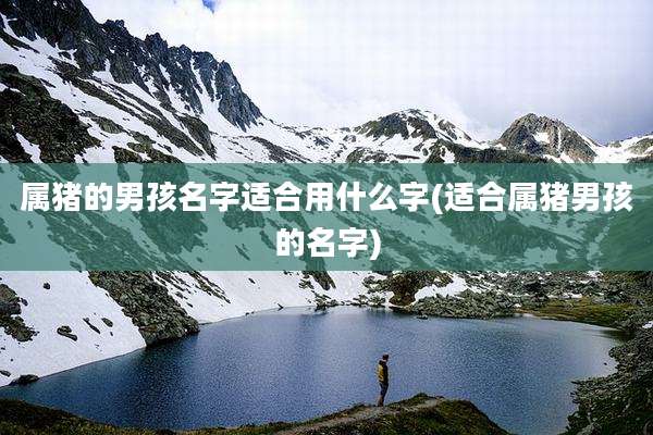 属猪的男孩名字适合用什么字(适合属猪男孩的名字)