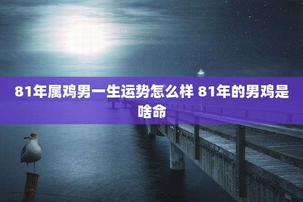 81年属鸡男一生运势怎么样 81年的男鸡是啥命