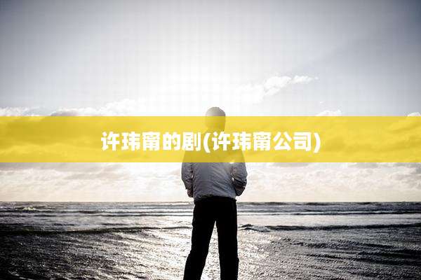 许玮甯的剧(许玮甯公司)