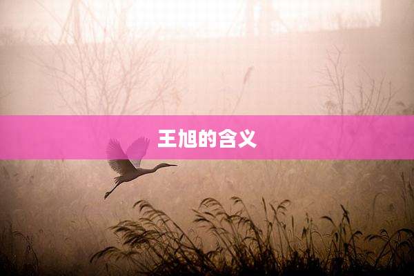 王旭的含义