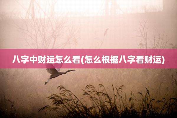 八字中财运怎么看(怎么根据八字看财运)