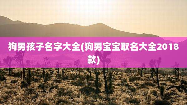 狗男孩子名字大全(狗男宝宝取名大全2018款)