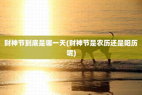 财神节到底是哪一天(财神节是农历还是阳历呢)
