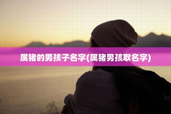 属猪的男孩子名字(属猪男孩取名字)