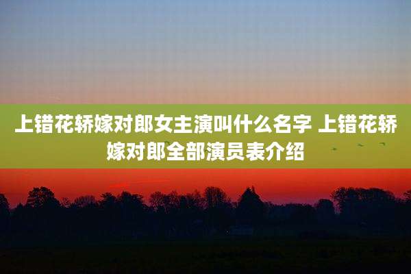 上错花轿嫁对郎女主演叫什么名字 上错花轿嫁对郎全部演员表介绍