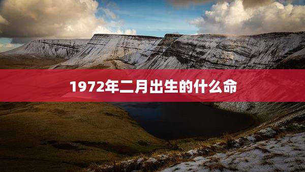 1972年二月出生的什么命
