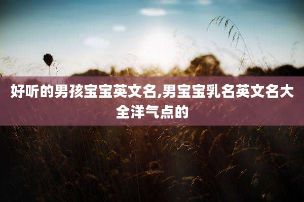 好听的男孩宝宝英文名,男宝宝乳名英文名大全洋气点的